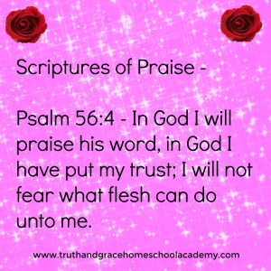 praise-psalm-56-4