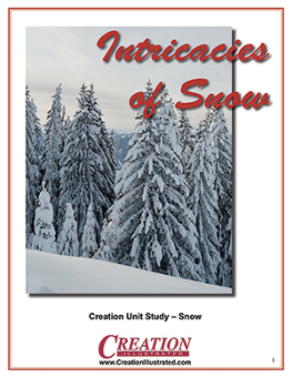 unit-study-snow-by-creation-illustrated